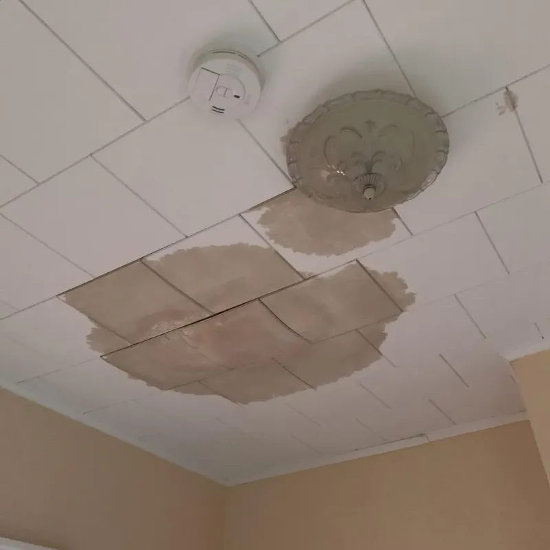 Ceiling Water Damage Repair in Pleasant Valley, MO