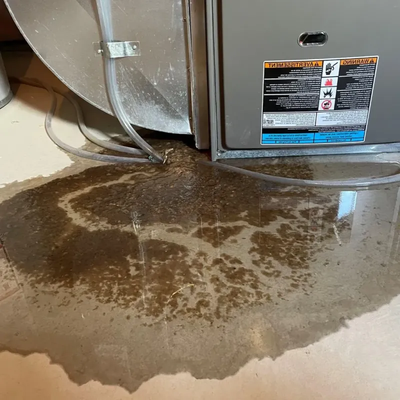 Pipe Burst and Leak Restoration in Pleasant Valley, MO
